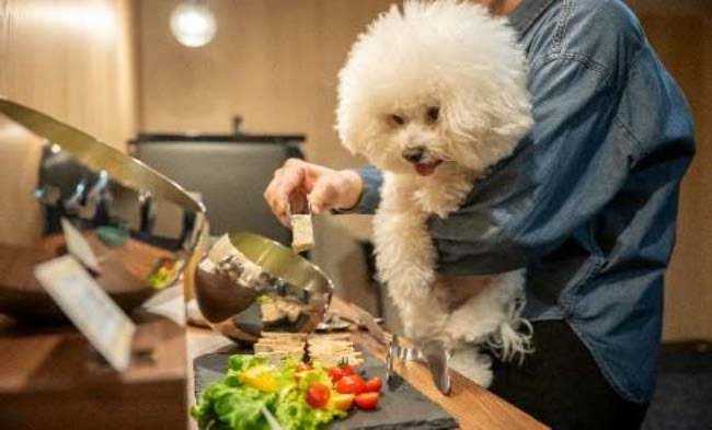 ペットと宿泊できる施設(R with dog)の写真